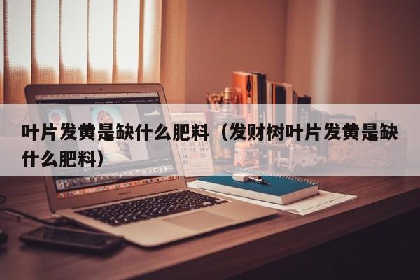 叶片发黄是缺什么肥料（发财树叶片发黄是缺什么肥料）