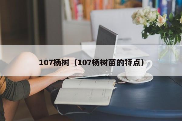 107杨树（107杨树苗的特点）