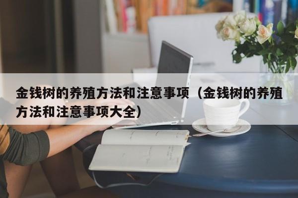 金钱树的养殖方法和注意事项（金钱树的养殖方法和注意事项大全）