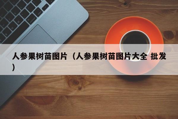 人参果树苗图片（人参果树苗图片大全 批发）