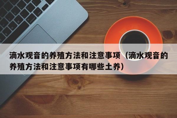 滴水观音的养殖方法和注意事项（滴水观音的养殖方法和注意事项有哪些土养）