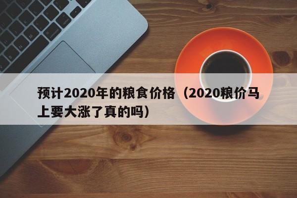 预计2020年的粮食价格（2020粮价马上要大涨了真的吗）