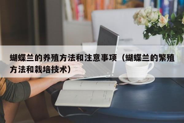 蝴蝶兰的养殖方法和注意事项（蝴蝶兰的繁殖方法和栽培技术）