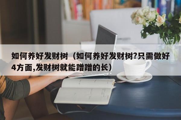 如何养好发财树（如何养好发财树?只需做好4方面,发财树就能蹭蹭的长）