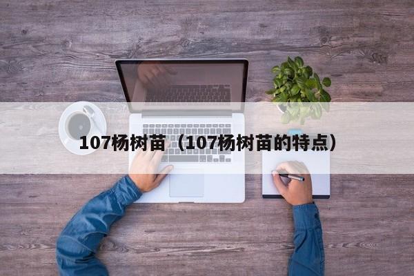 107杨树苗（107杨树苗的特点）