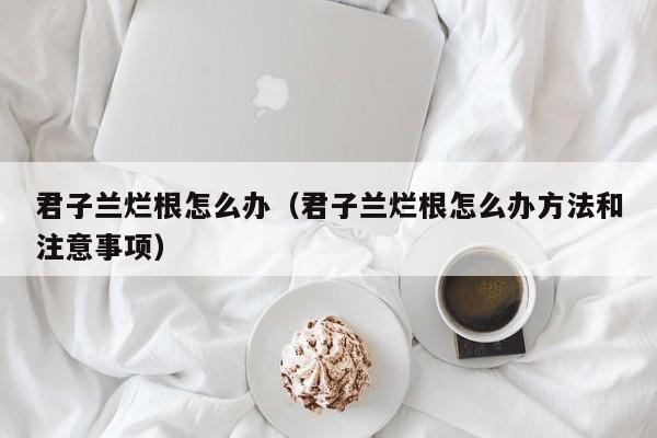 君子兰烂根怎么办（君子兰烂根怎么办方法和注意事项）