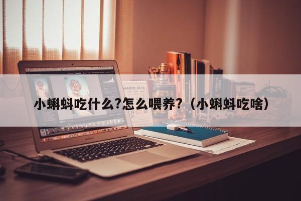 小蝌蚪吃什么?怎么喂养?（小蝌蚪吃啥）