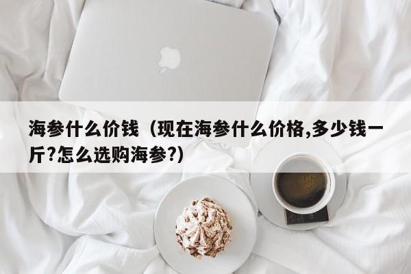 海参什么价钱（现在海参什么价格,多少钱一斤?怎么选购海参?）