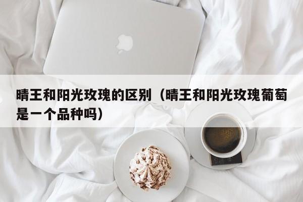 晴王和阳光玫瑰的区别（晴王和阳光玫瑰葡萄是一个品种吗）