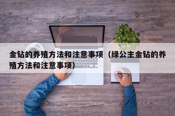 金钻的养殖方法和注意事项（绿公主金钻的养殖方法和注意事项）